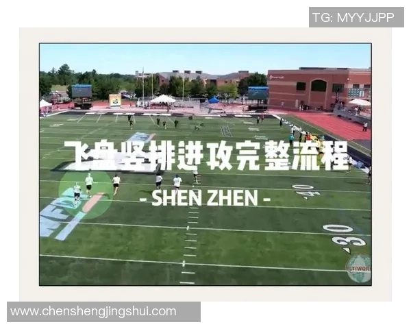 深圳飞盘队反击战术解析与实战应用探讨